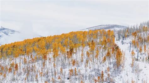 Photos: Blankets of snow bring out vibrant fall colors